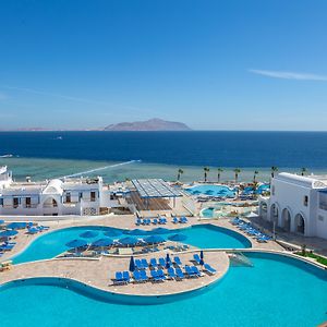 Albatros Palace Sharm